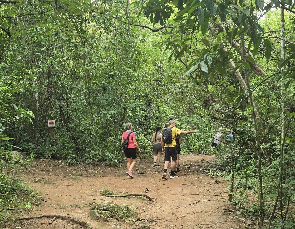 452953681 8049143905151272 5785740354434157618 N