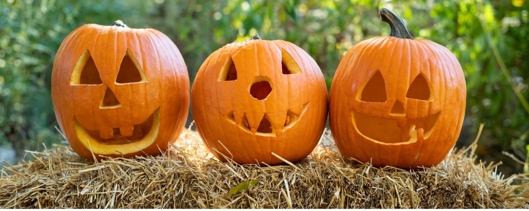 Gresskar