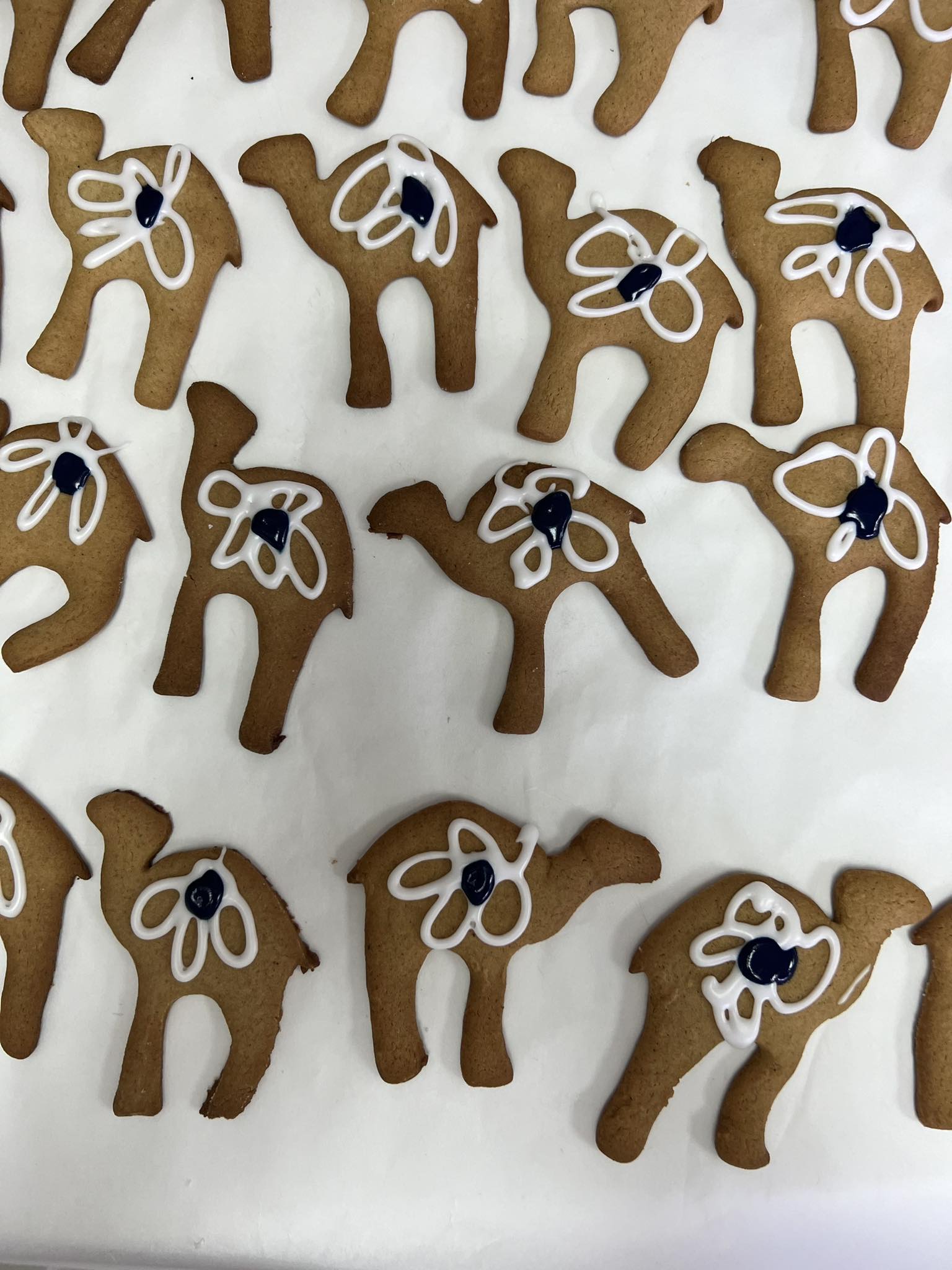 419159924 907223090598043 157125863648647258 N