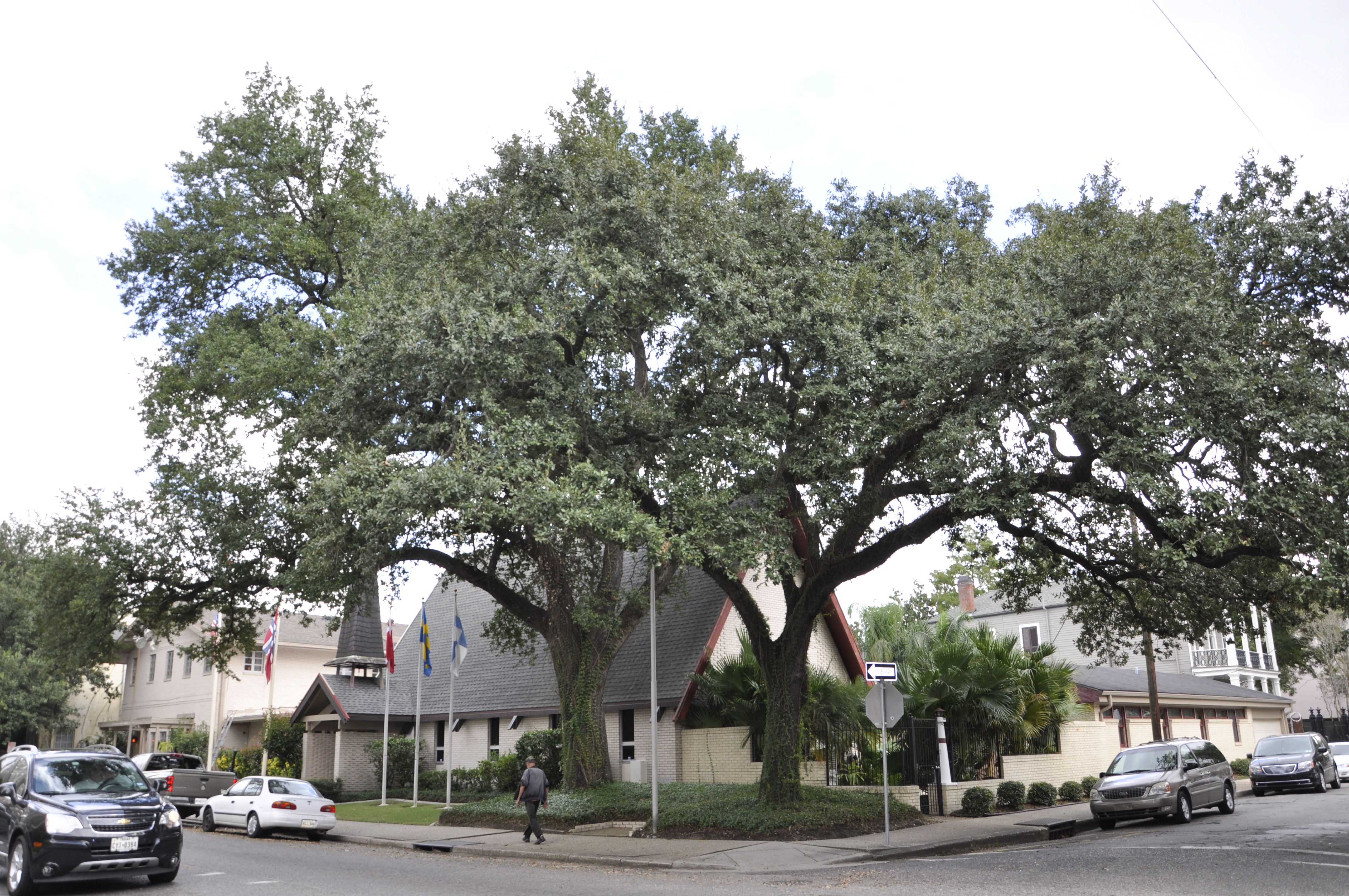 new-orleans.jpg