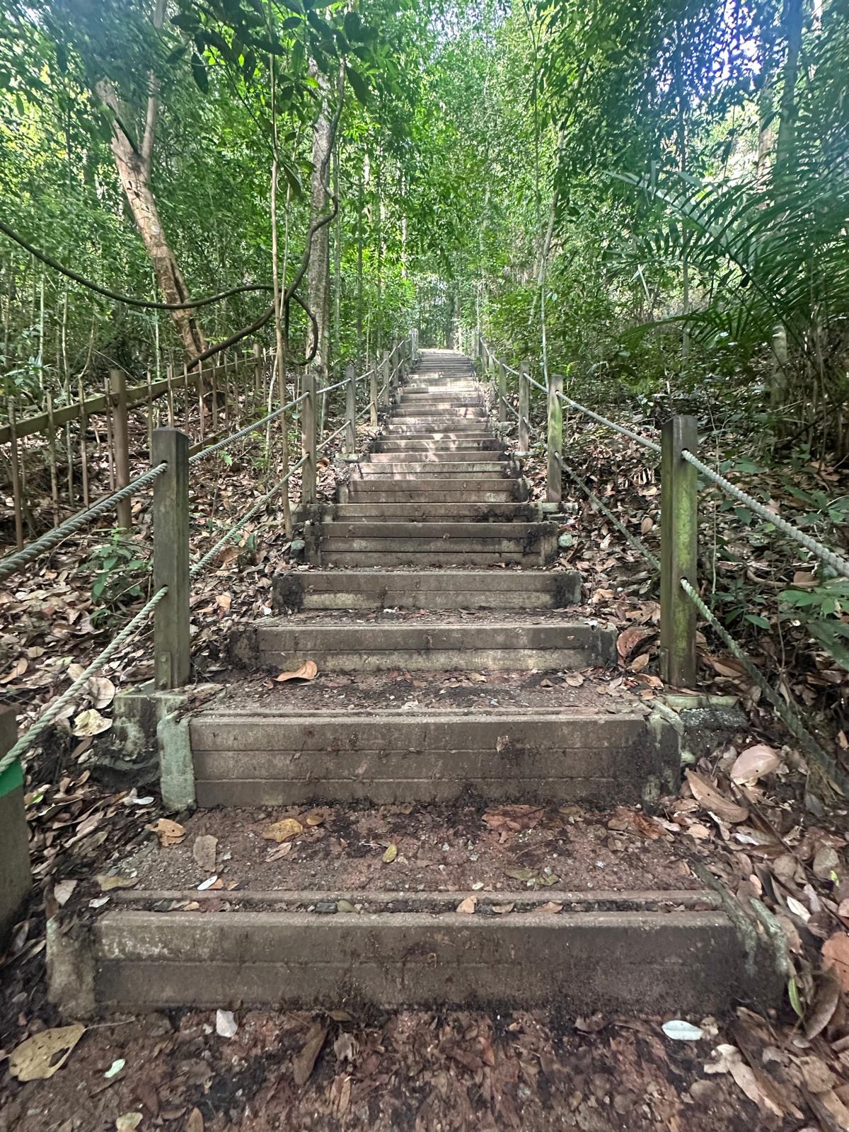 99E373cb 7Cd1 42Ff 81Ae 78C8e221ac7f