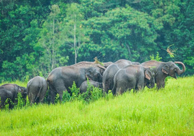 1000 F 251422616 Rclb5jhiuqe8wd41baywdxzbsqdlu3mc Crop