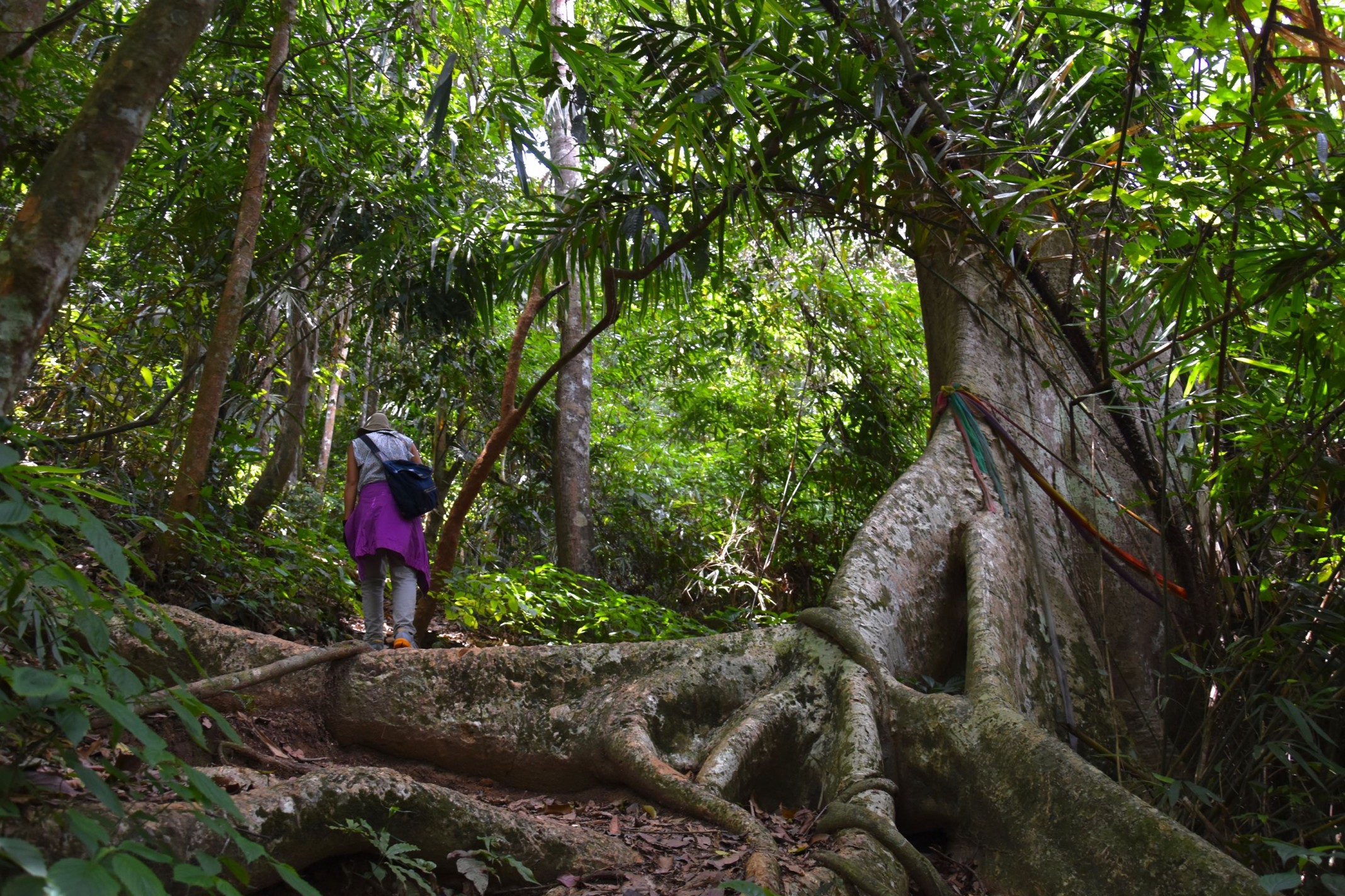 Gallery Sight Large 187 1496580561