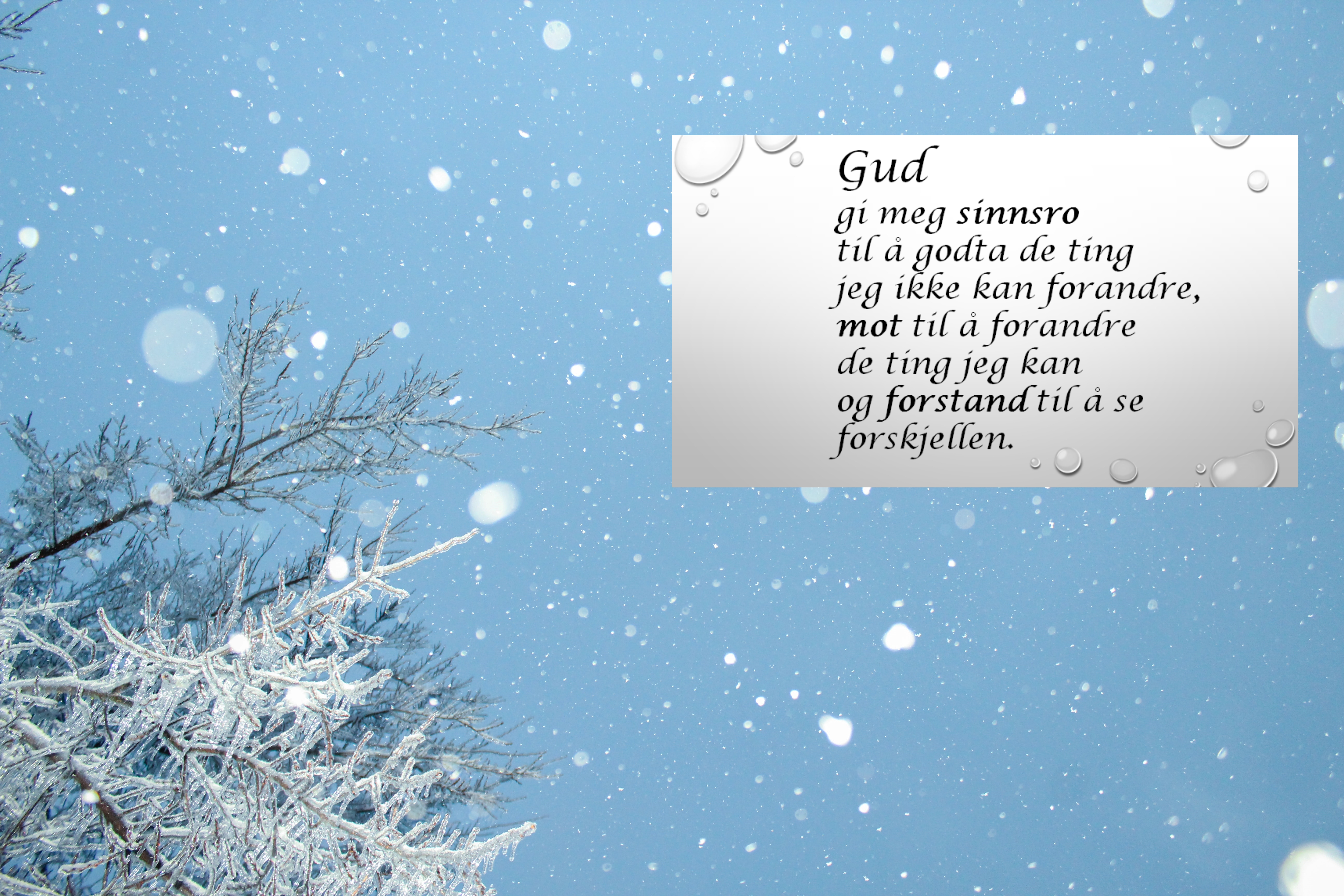 Chandler Cruttenden W8hwtfpgtpy Unsplash