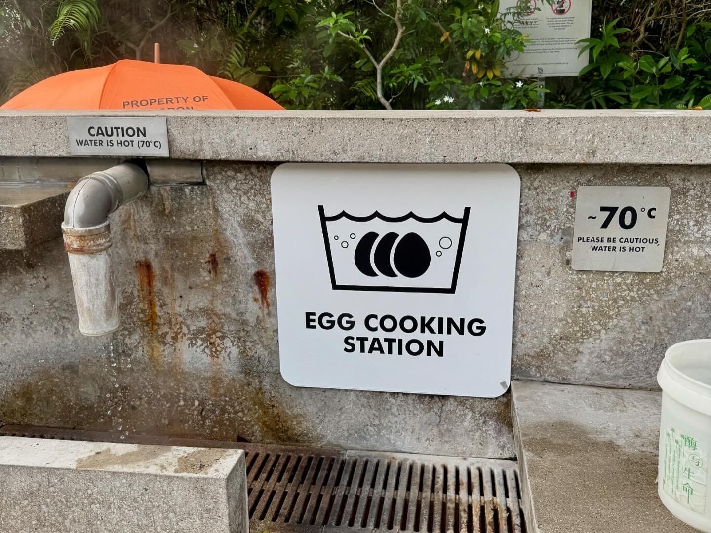 Egg Cooking Station