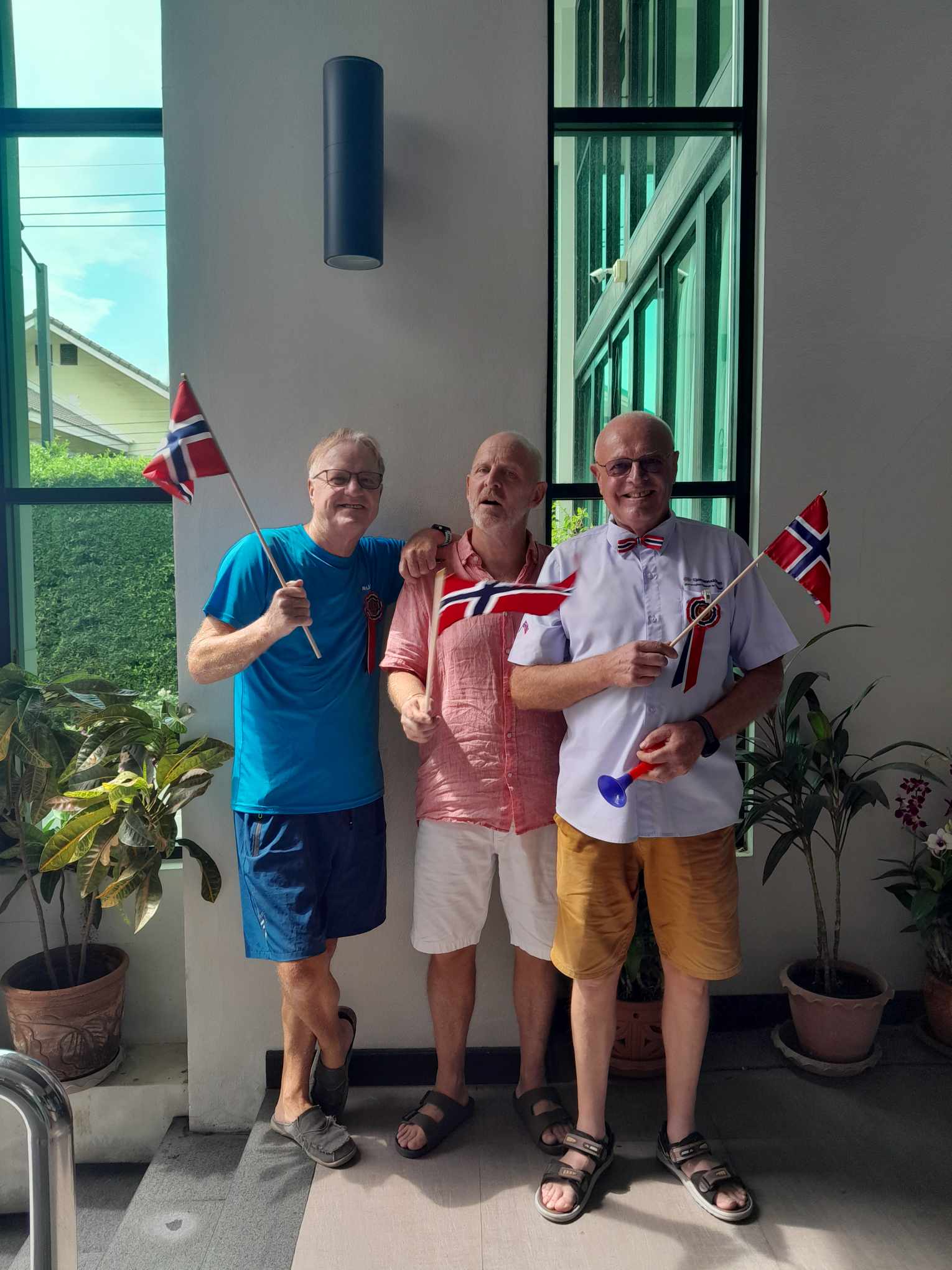 Illustrasjon Til Salg Av 17.Maivarer