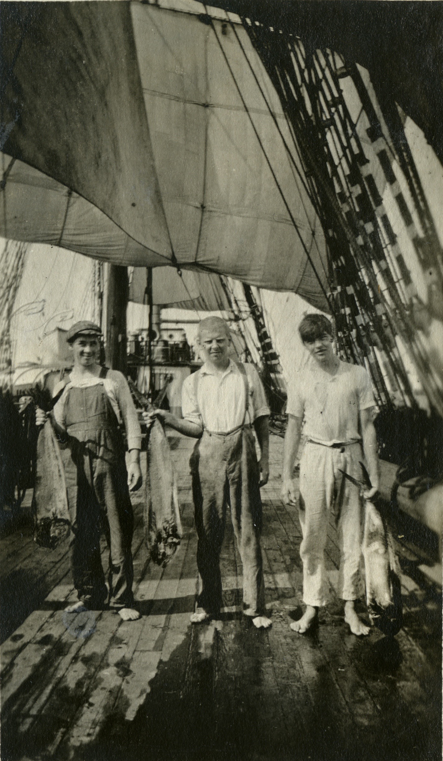 MED NYFISKET GULLMAKRELL