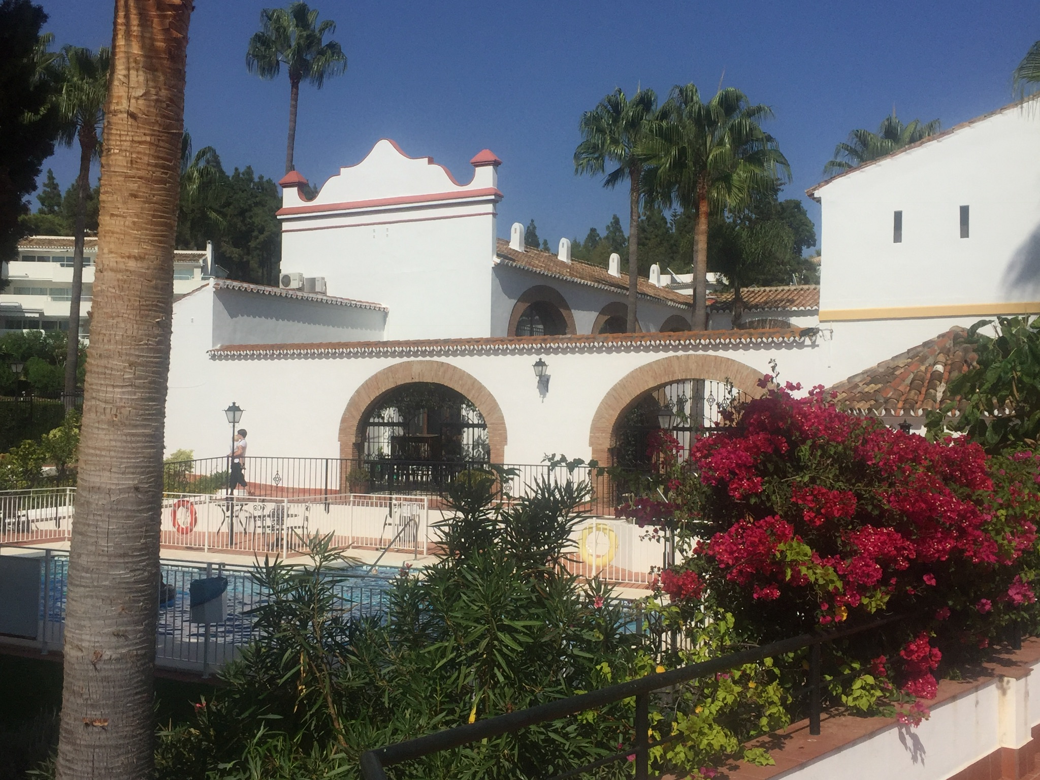 Kirekbygg M Bassen Og Blomster