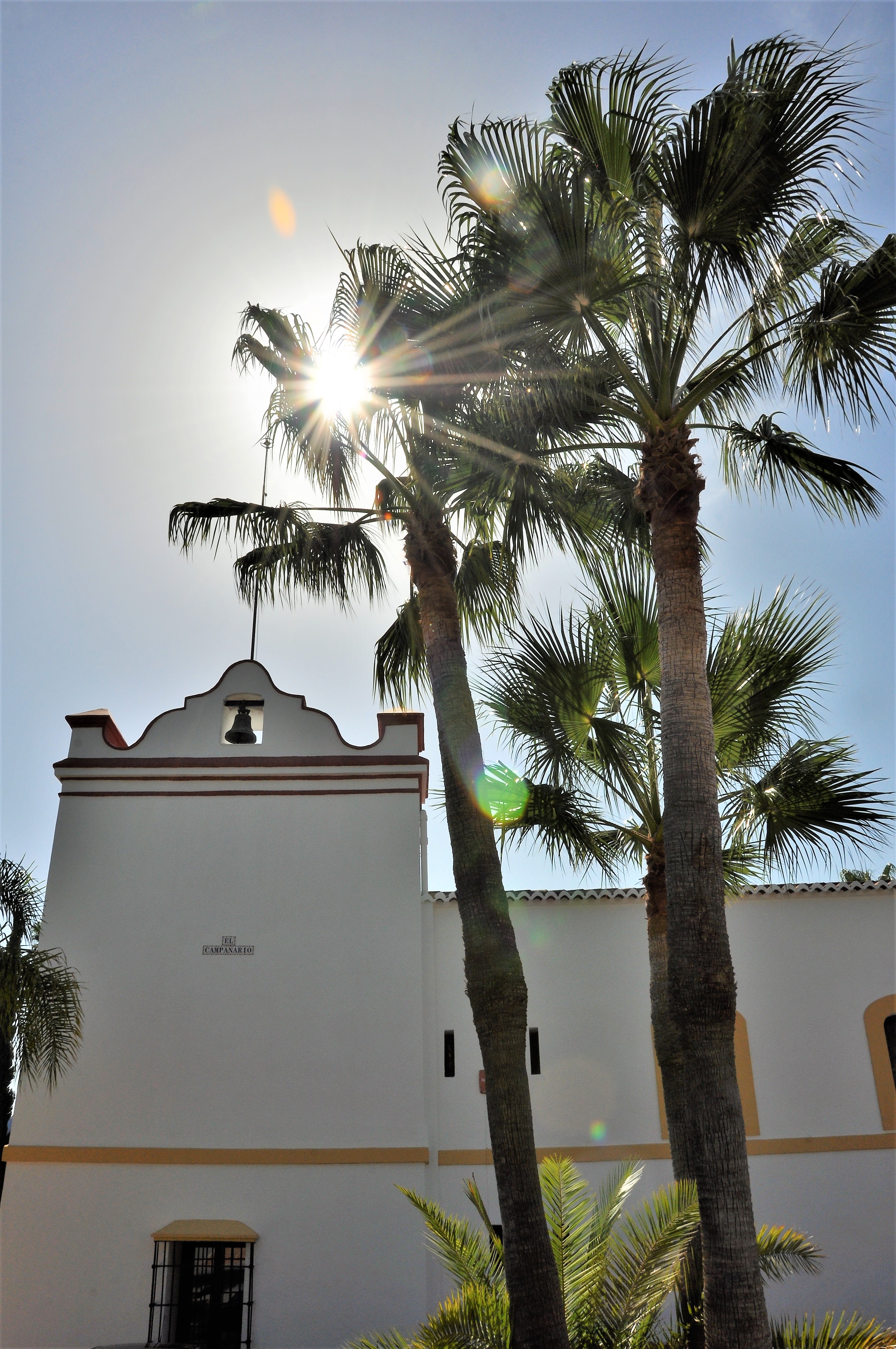 Taarnet Fra Park Med Sol