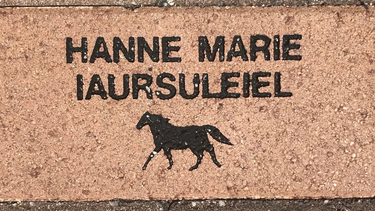 Murstein Eksempel 16X9