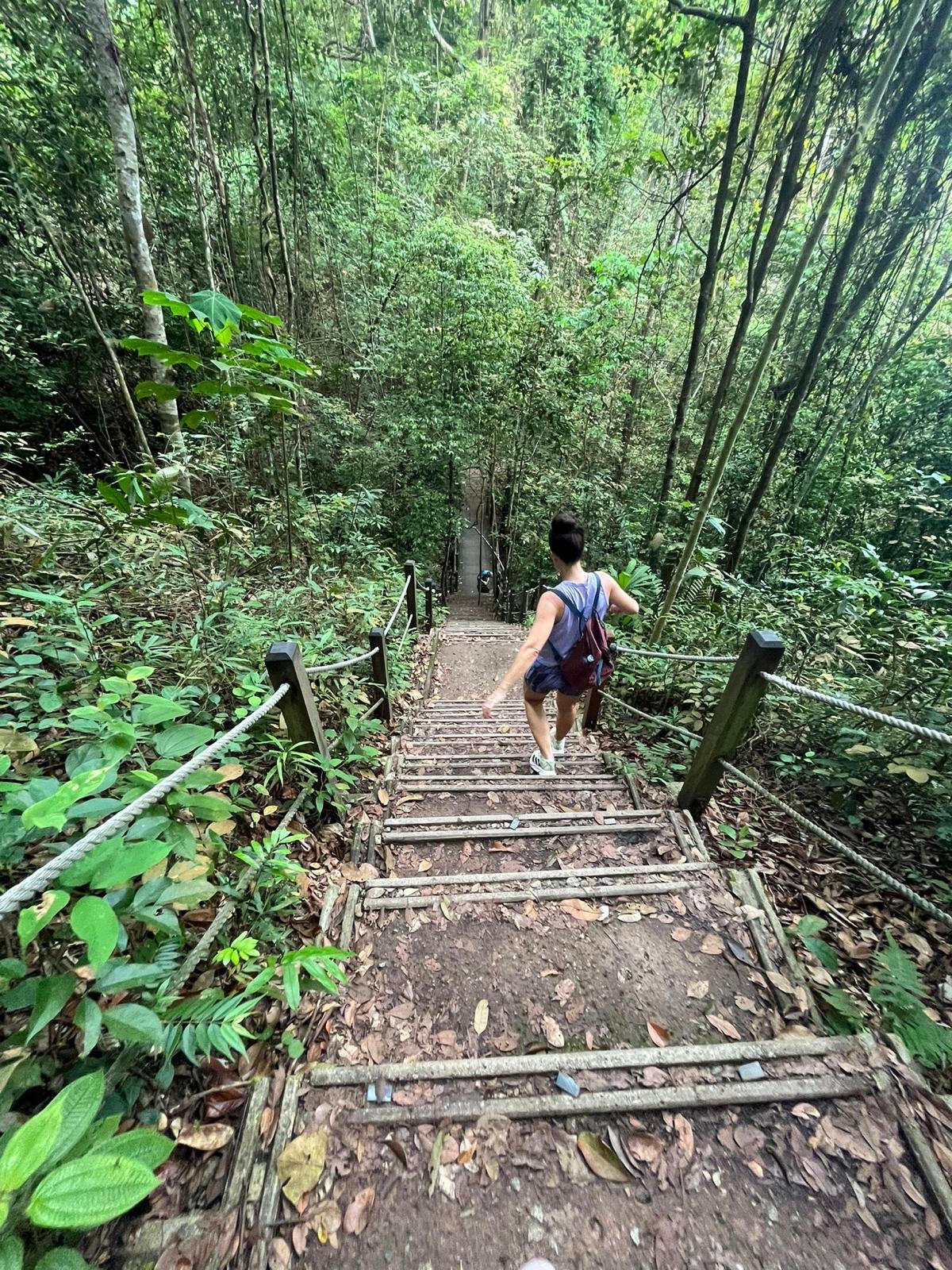 D29afb74 Eae4 4215 A071 Dbce898dab04