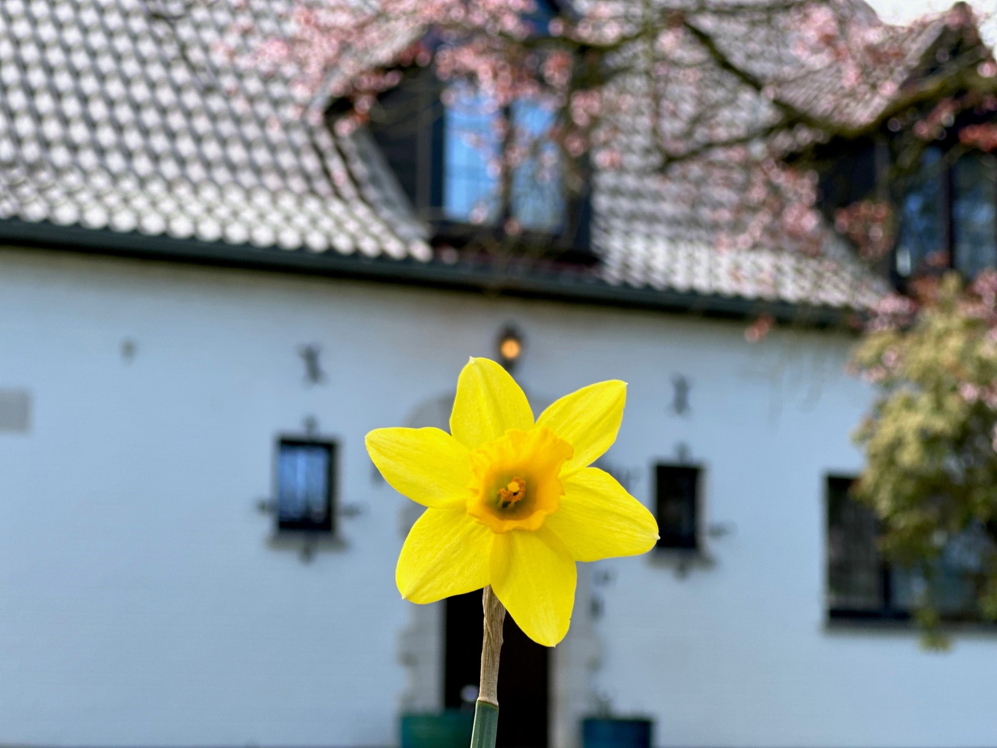 Paaske I Prestegården