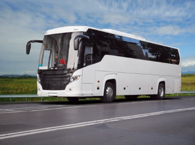 Buss 01
