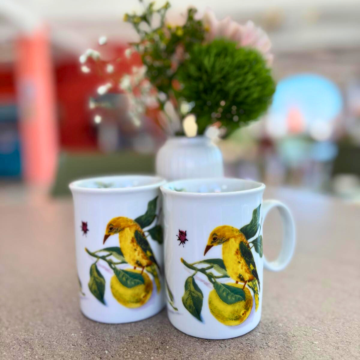 Lotterigevinst Citruskopper