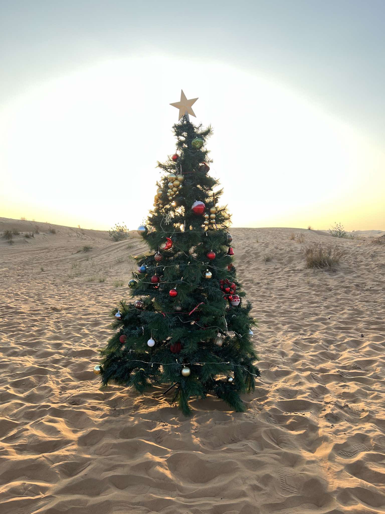 462576287 1140896767368045 7290260538102158378 N